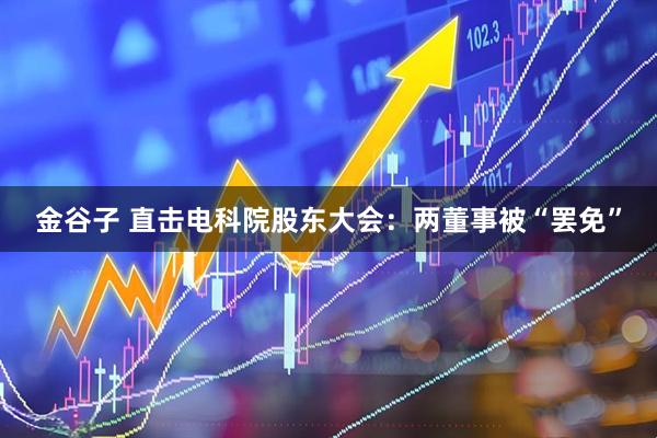 金谷子 直击电科院股东大会：两董事被“罢免”