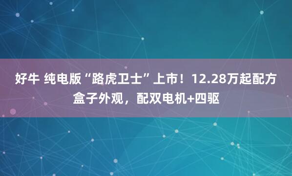 好牛 纯电版“路虎卫士”上市！12.28万起配方盒子外观，配双电机+四驱