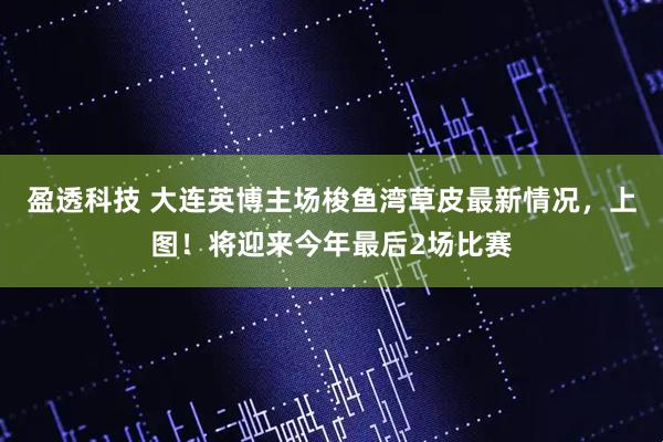 盈透科技 大连英博主场梭鱼湾草皮最新情况，上图！将迎来今年最后2场比赛