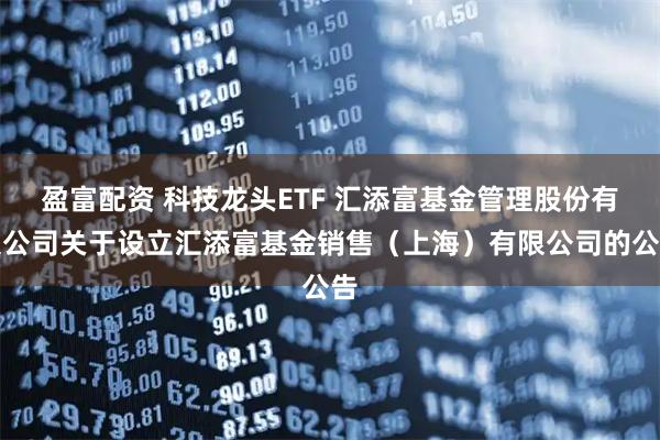 盈富配资 科技龙头ETF 汇添富基金管理股份有限公司关于设立汇添富基金销售（上海）有限公司的公告