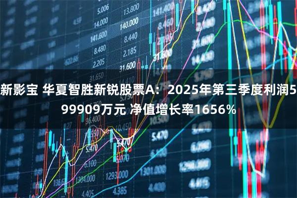 新影宝 华夏智胜新锐股票A：2025年第三季度利润599909万元 净值增长率1656%
